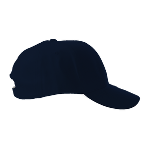 BF020 Cap