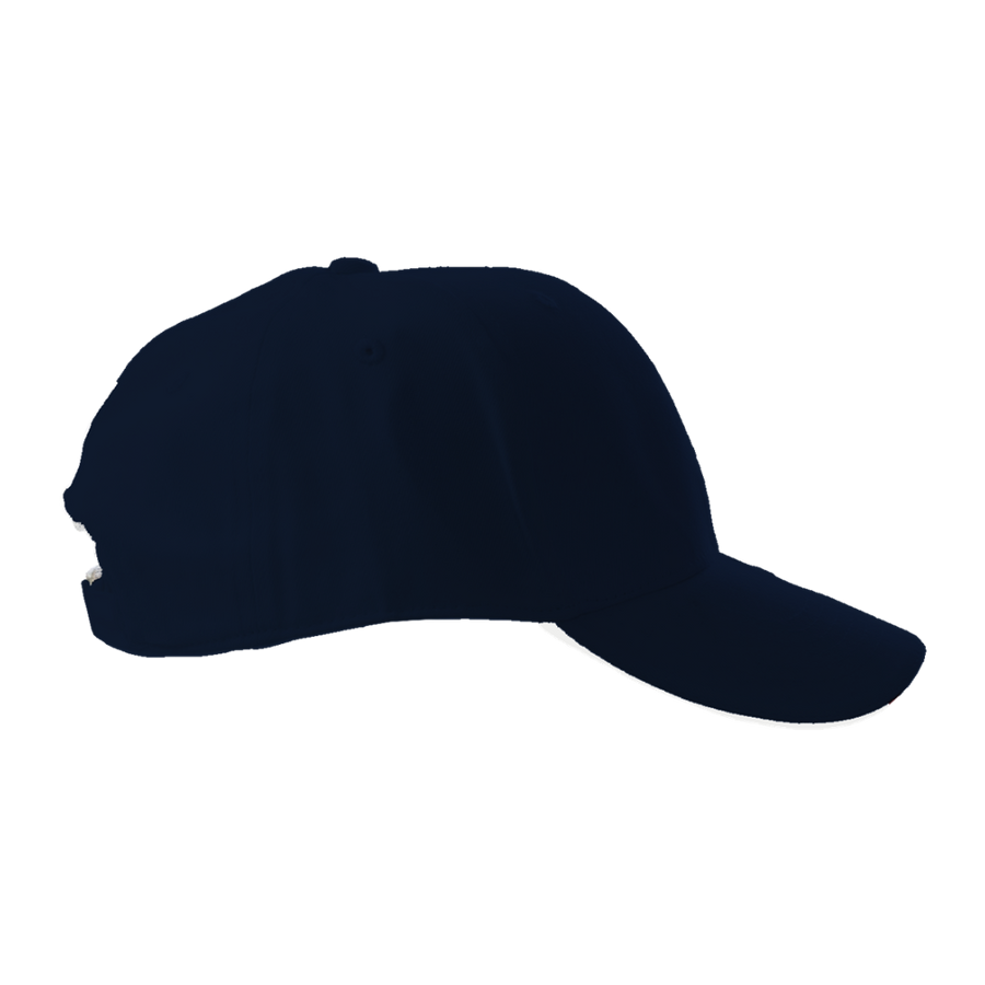 BF020 Cap